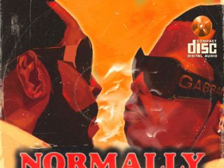 Show Dem Camp, Joey B, Boj – Normally